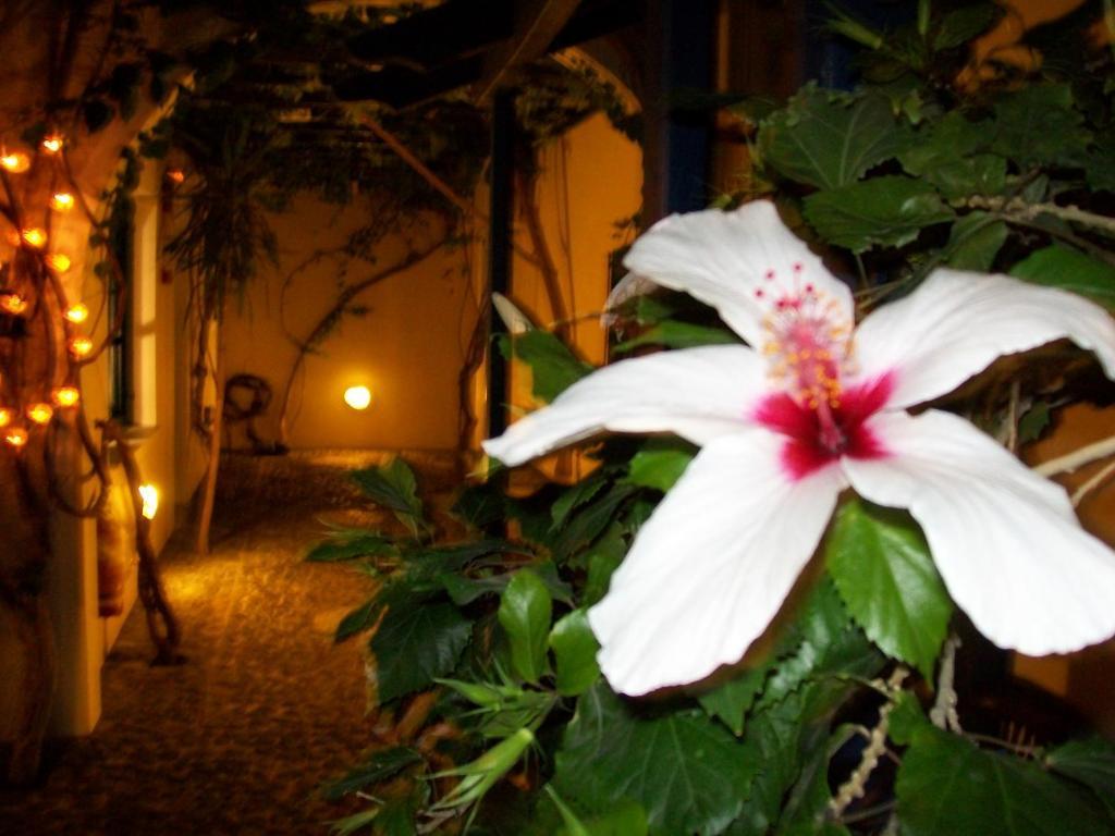 Villa Spyros Santorini ペリッサ エクステリア 写真